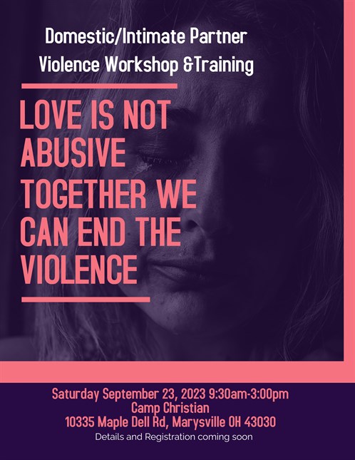Domestic Intimate Partner Violence Training